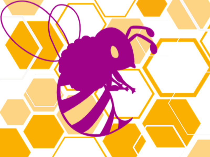 北九州市のハチ駆除で安いのがおすすめ 業者の評判一覧表 ハチ食堂